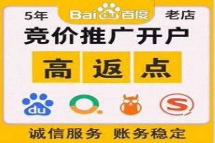 百度竞价广告投放策略及成功盈利案例